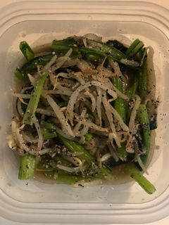 【簡単10分おかず】もやしの胡麻味噌和え-レシピのメイン写真