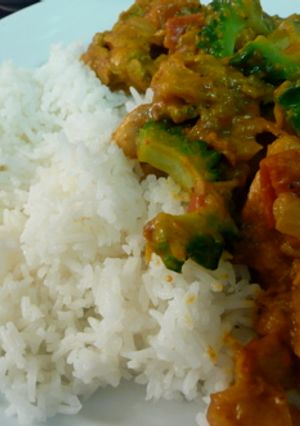夏の本格インドカレー（ゴーヤ＆ポーク）-レシピのメイン写真