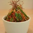 酢漬けショウガと生野菜のラタトゥーユ