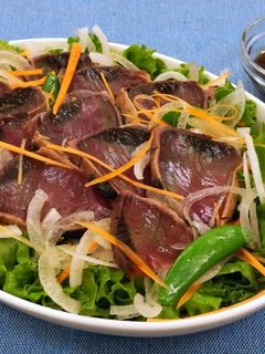 かつおのたたきと春野菜のさっぱりサラダ-レシピのメイン写真
