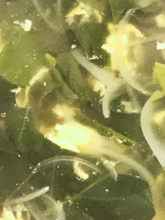 ほうれん草の洋風スープ-レシピのメイン写真