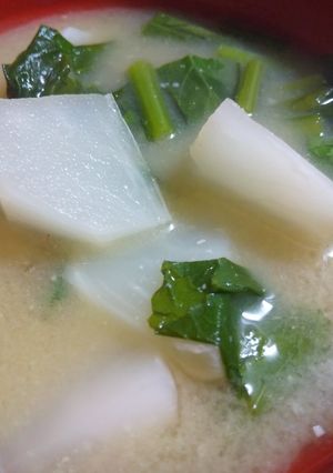 サラダラティーナの味噌汁-レシピのメイン写真