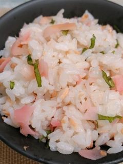 ガリと鮭フレークの混ぜご飯-レシピのメイン写真