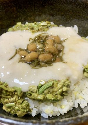 ギシギシのネバトロ丼-レシピのメイン写真