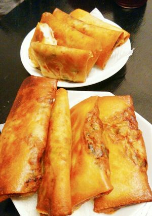 餃子春巻き❗-レシピのメイン写真