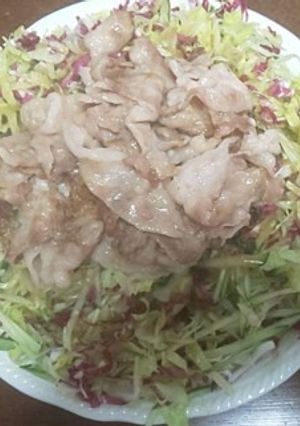 ラディッキオサラダ・焼き肉のせ～-レシピのメイン写真