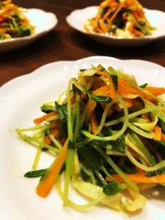 豆苗のピリ辛中華和え-レシピのメイン写真