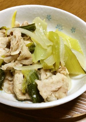炒め物(チンゲンサイ・タマネギ・肉)-レシピのメイン写真