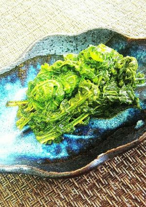 山菜 ご飯が進む こごみの醤油漬け♪-レシピのメイン写真
