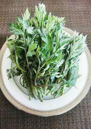 山菜 よもぎの処理 よもぎペースト♪-レシピのメイン写真