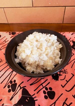 圧力鍋で簡単☆ふっくら餅麦ごはん-レシピのメイン写真