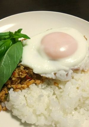 スタジアムグルメでハマったガパオ-レシピのメイン写真