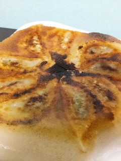お気に入りの羽付き餃子-レシピのメイン写真