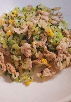 犬用＊もやしﾀｯﾌﾟﾘあっさり炒飯-レシピのメイン写真