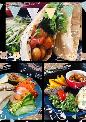 アラブのパン?…ピタパンサンドはいかが♪-レシピのメイン写真