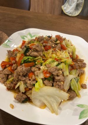 ガパオキャベツライス-レシピのメイン写真