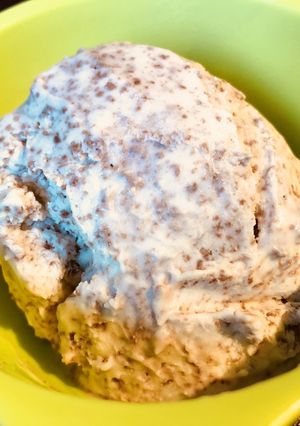 簡単3点で本格チョコチップジェラート！-レシピのメイン写真