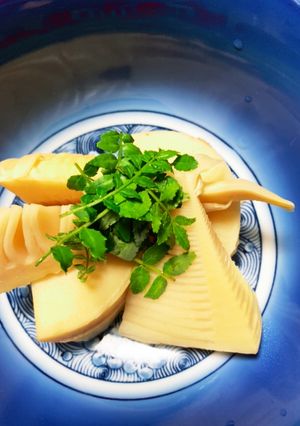 人気検索でトップ10 筍の煮物木の芽のせ-レシピのメイン写真