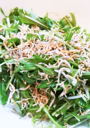 水菜とカリカリじゃこの和風サラダ-レシピのメイン写真