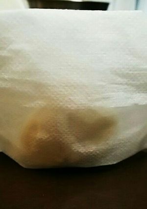 お茶パックでニンニク保存だよ~♬-レシピのメイン写真