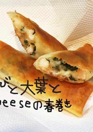 えびと大葉とcheeseの春巻き-レシピのメイン写真