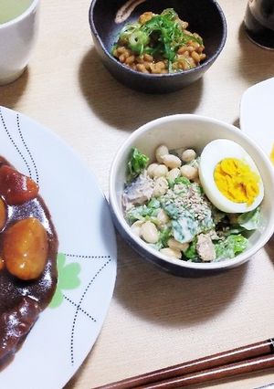 お庭のレタスでいわし大豆サラダ-レシピのメイン写真