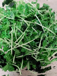 うまうま豆苗サラダ-レシピのメイン写真