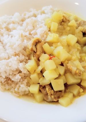 生姜の効いたあっさりスパイスカレー◎-レシピのメイン写真