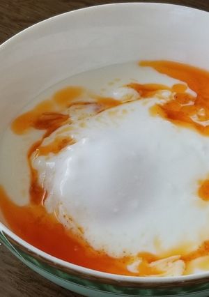 ヨーグルトの国ブルガリアのまっしろスープ-レシピのメイン写真