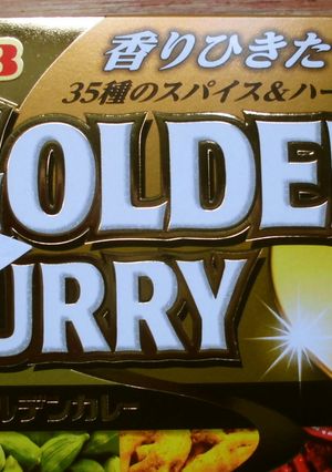 ゴールデン（ウィーク）カレー♪-レシピのメイン写真