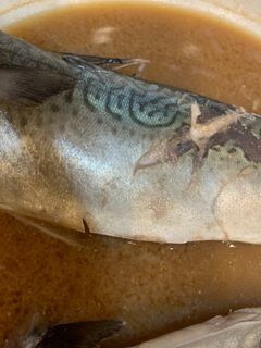 サバの味噌煮 簡単 時短-レシピのメイン写真