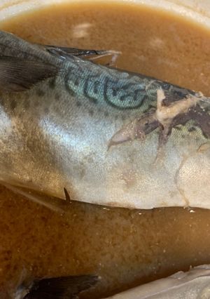 サバの味噌煮　簡単　時短-レシピのメイン写真