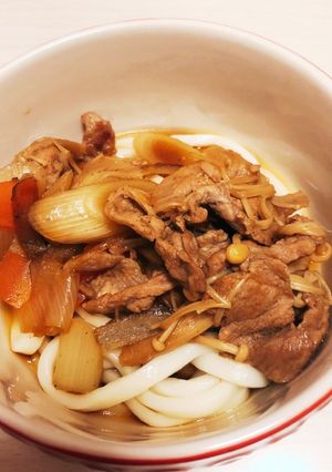 根菜と豚肉の甘辛煮乗せ☆かけうどん-レシピのメイン写真