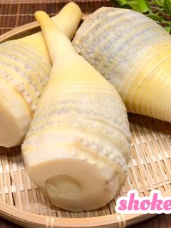 旬を味わおう♪たけのこの茹で方-レシピのメイン写真
