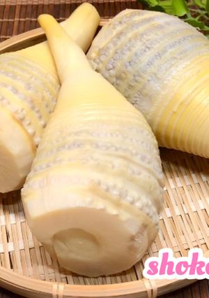 旬を味わおう♪たけのこの茹で方-レシピのメイン写真
