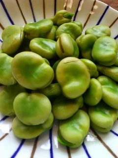 そら豆の塩茹で-レシピのメイン写真