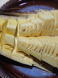 簡単!掘りたてタケノコのオーブン焼き-レシピのメイン写真