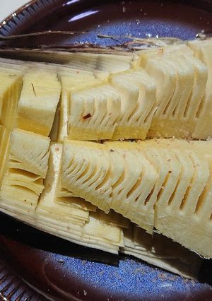 簡単!掘りたてタケノコのオーブン焼き-レシピのメイン写真
