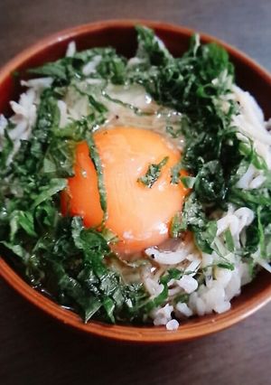 奇跡のTＫG☆しらすと大葉の卵かけご飯-レシピのメイン写真