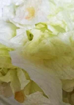 止まらなくなるレタス-レシピのメイン写真