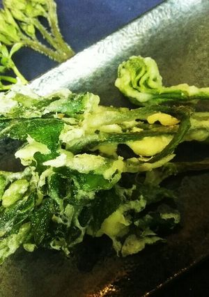 山菜 ♪カラットサクサク ウドの天ぷら♪-レシピのメイン写真