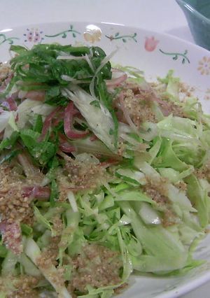 キャベツと香味野菜の夏サラダ-レシピのメイン写真