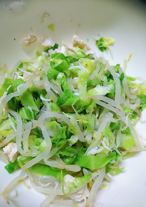 簡単!春キャベツを沢山食べよう!-レシピのメイン写真