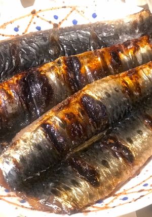 イワシの昆布つゆ干し-レシピのメイン写真
