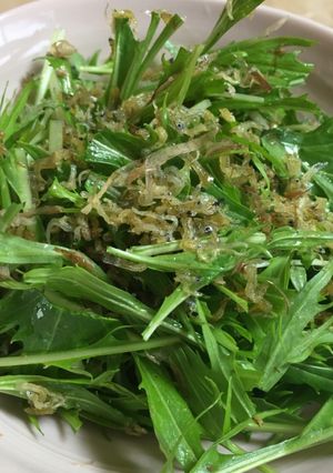 水菜とじゃこのサラダ　油でカリッと-レシピのメイン写真