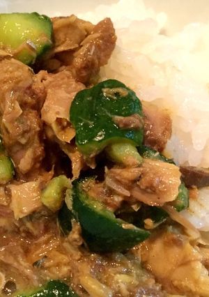 袋１つで災害時に作れる！時短サバカレー-レシピのメイン写真