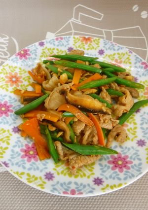 いんげんと豚肉のピリ辛いため-レシピのメイン写真