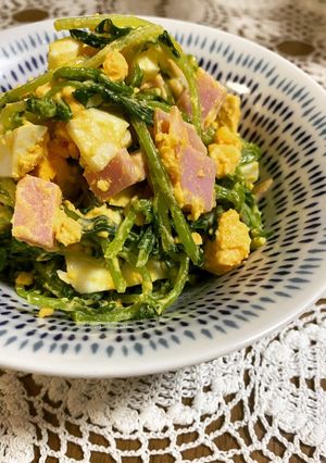 常備菜！お弁当にも！豆苗たまごハムサラダ-レシピのメイン写真