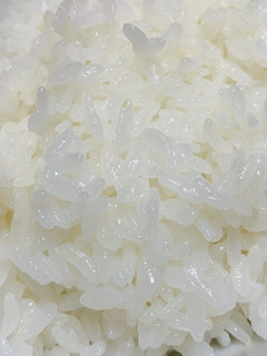 推しに炊いてもらいたい簡単土鍋ご飯-レシピのメイン写真