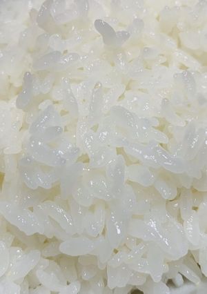 推しに炊いてもらいたい簡単土鍋ご飯-レシピのメイン写真